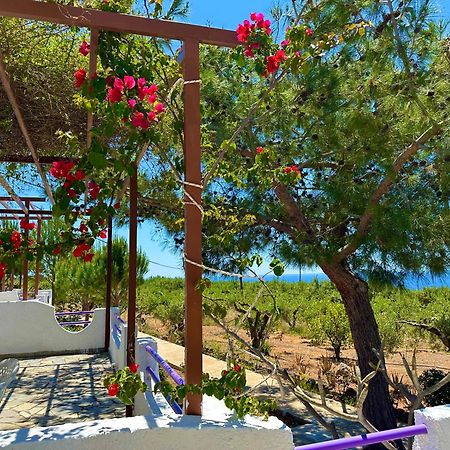 Studios Crete Ferma Exterior foto