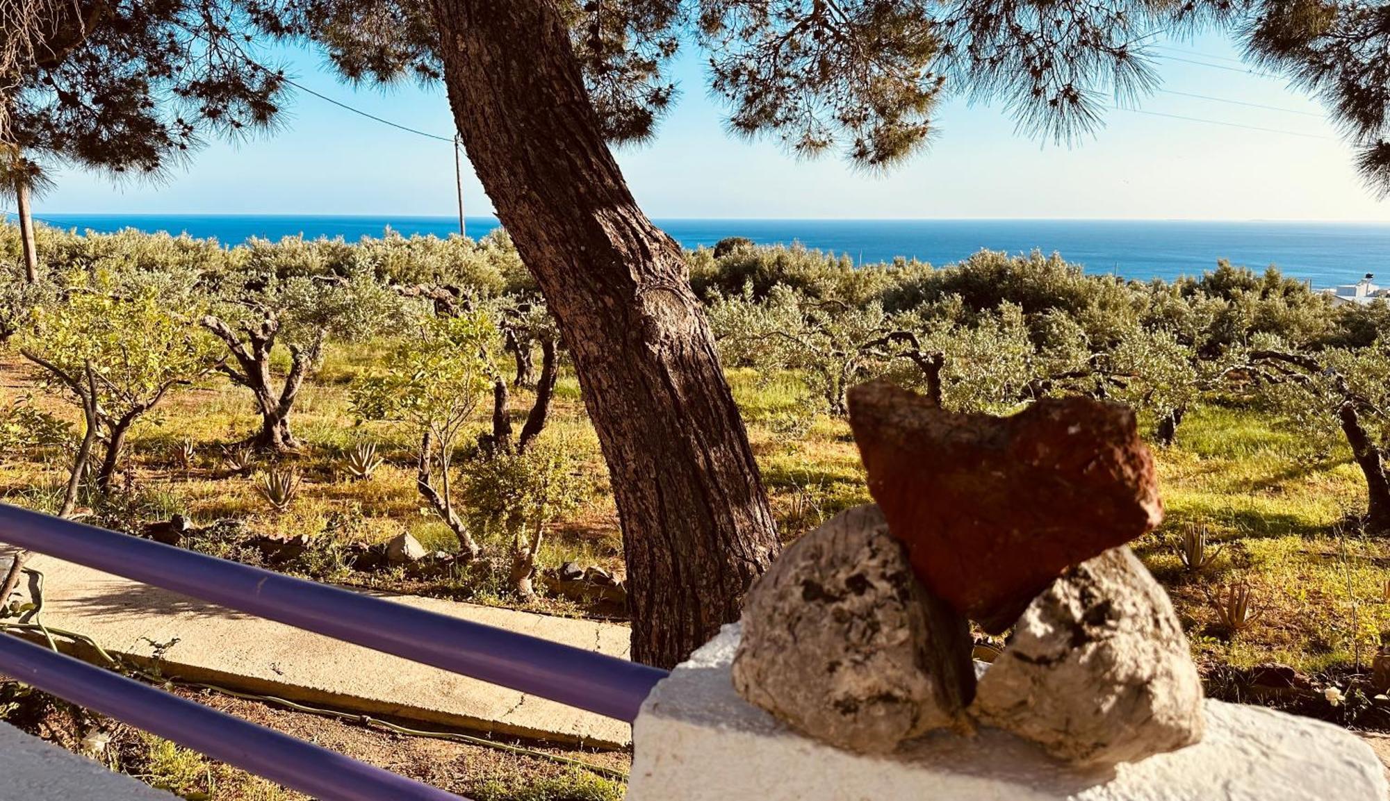 Studios Crete Ferma Exterior foto