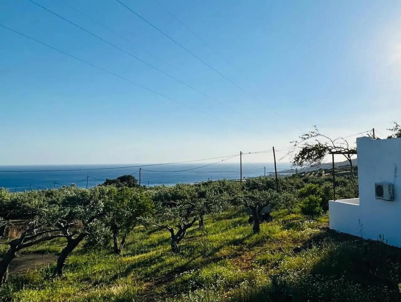Studios Crete Ferma Exterior foto