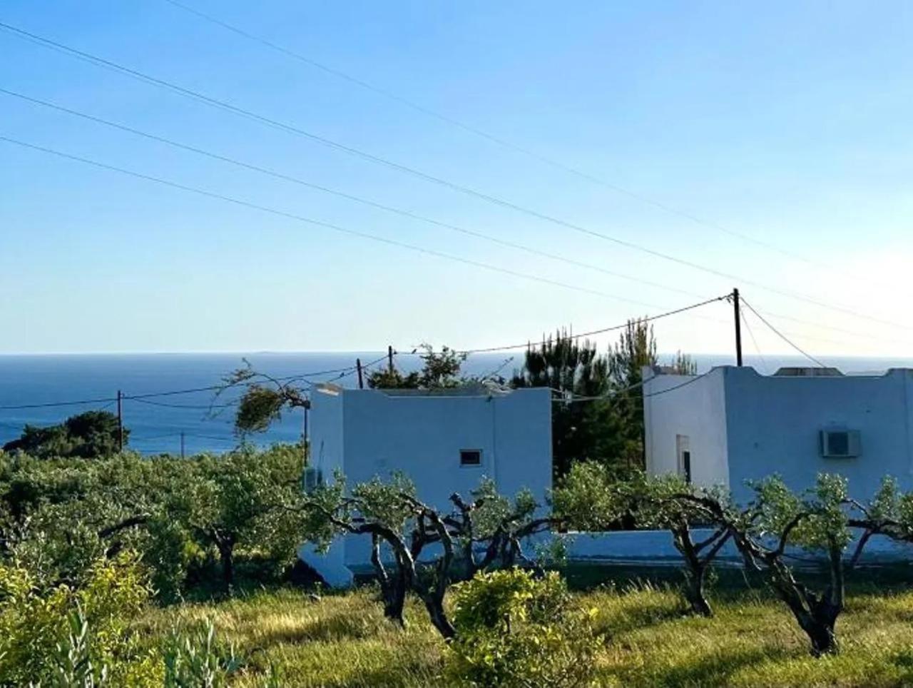 Studios Crete Ferma Exterior foto