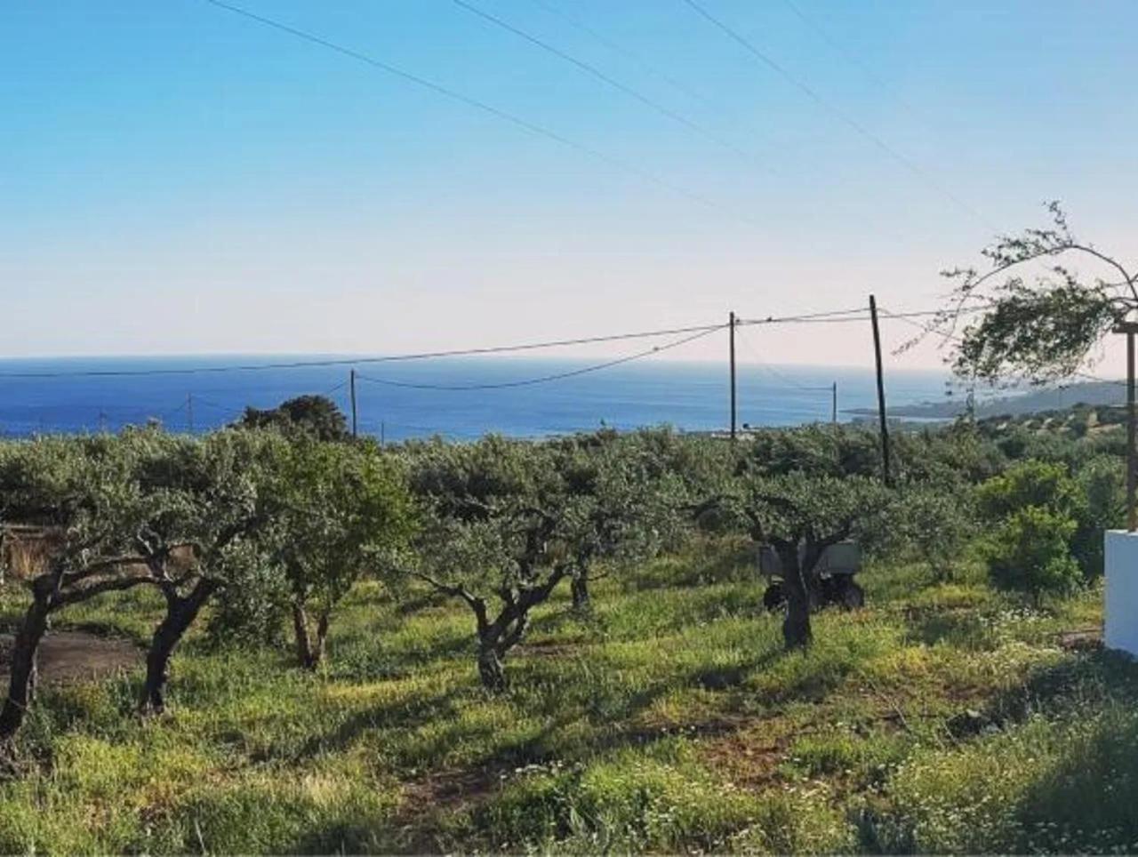Studios Crete Ferma Exterior foto